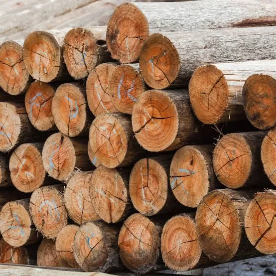 High-quality Wooden Poles from Jakonda Timber Tanzania